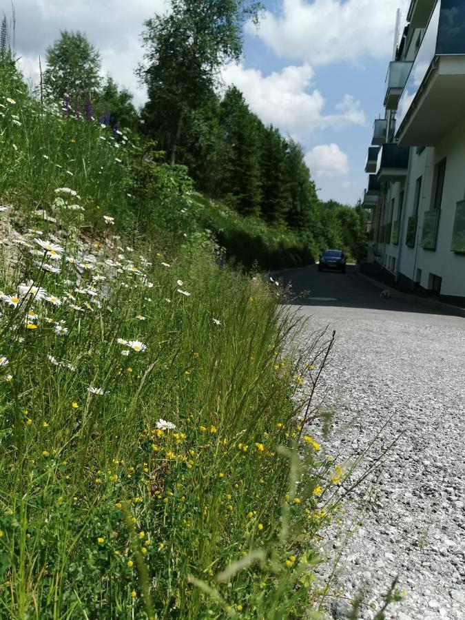 Studio Bernard 1.10 Vysoké Tatry Dış mekan fotoğraf